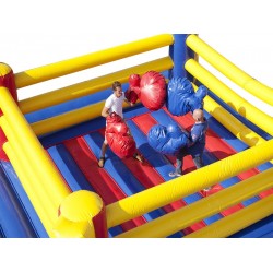 Ring Wrestling Gonfiabile Ring Wrestling Gonfiabile