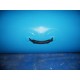 Piscine Gonfiabili Grandi Piscine Gonfiabili Grandi